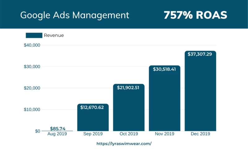 Google Ads Management for LYRA Swim