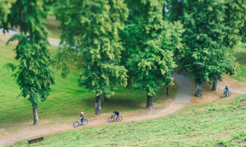 SEO Sprendimai - SEO Sprendimai