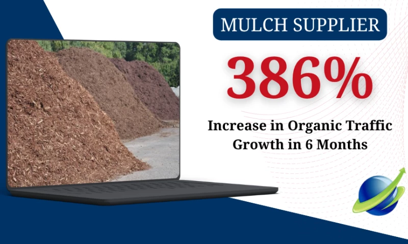 386% Organic Traffic Growth