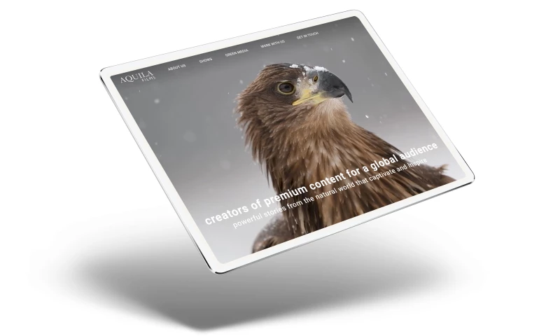 Reactive - Web design for Aquila Films