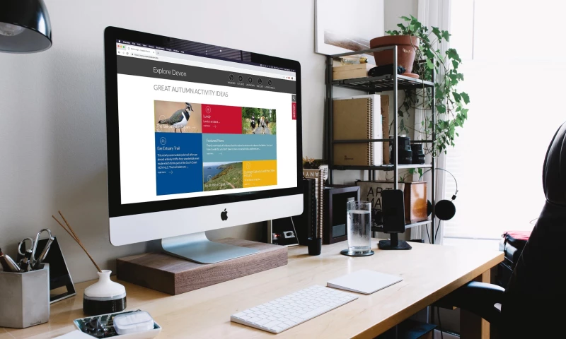 Rokk - Explore Devon