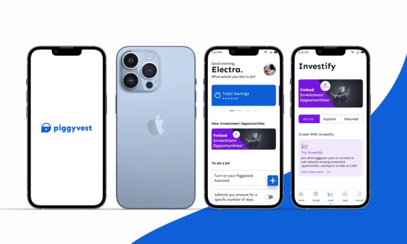 Bamsthetics - Piggyvest