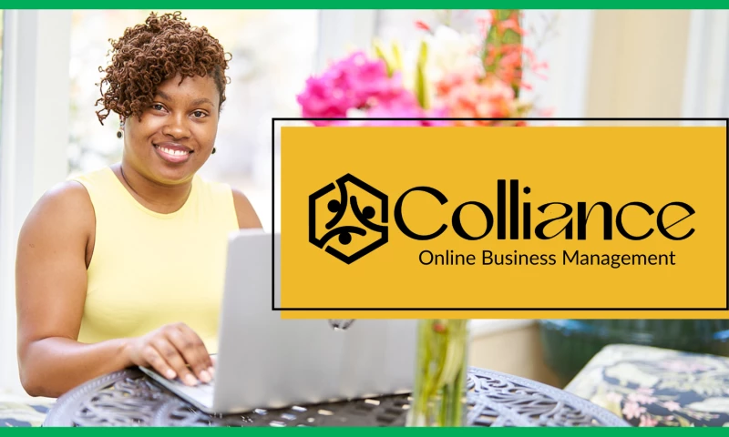 Flying Mouse Labs - Online Business Management Website Redesign