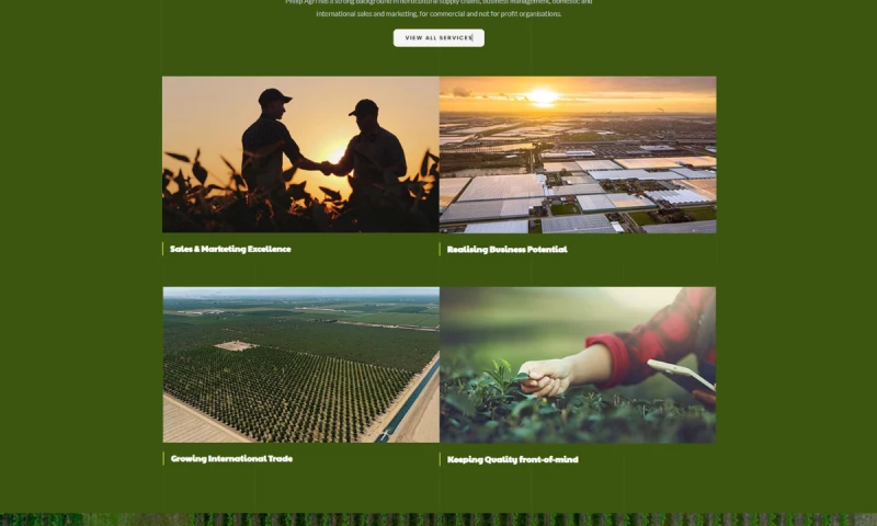 Soto Group - Launching a Distinctive Brand for PhilipAgri