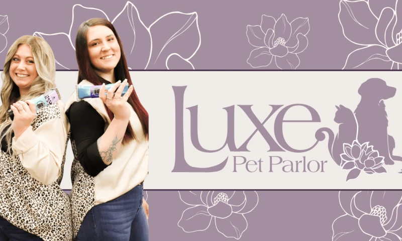 Flying Mouse Labs - Pet Parlor Brand and Website Design