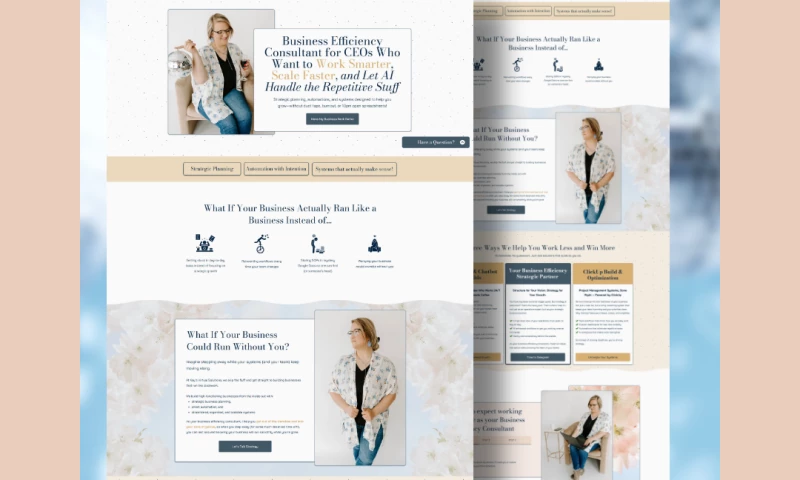 Flying Mouse Labs - Business Efficiency Consultant Website Redesign