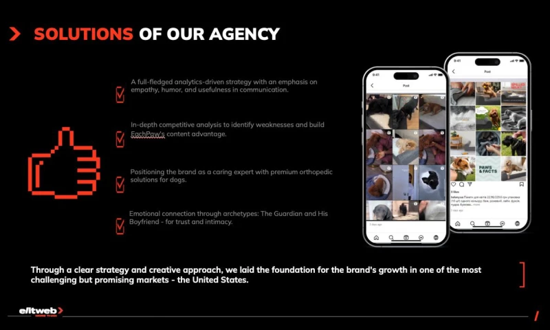 Establishing EachPaw as a Trusted Name in Orthopedic Pet Care