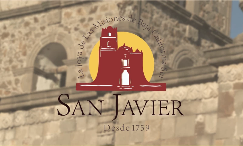 Flying Mouse Labs - City Brand Identity