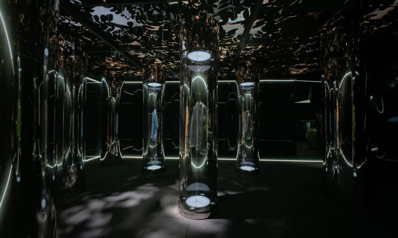 The Orangeblowfish - Arcteryx - ReBird