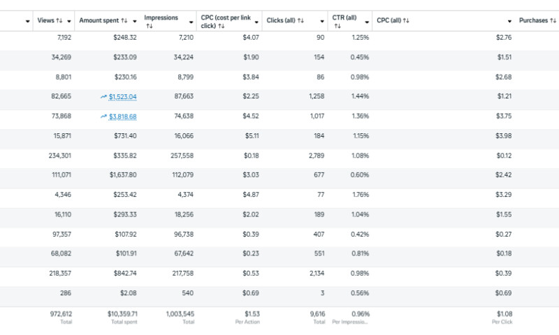 ICODA - How We Achieved 8× ROAS for an AI Token Presale