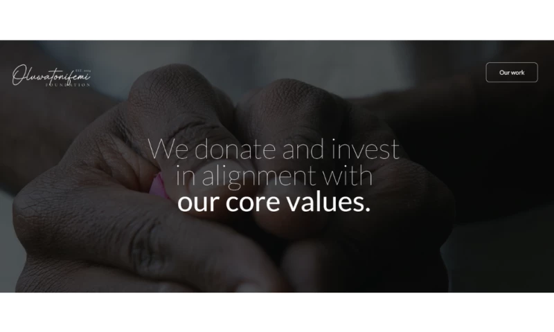 Extrafemi Ventures - Oluwatonifemi Foundation