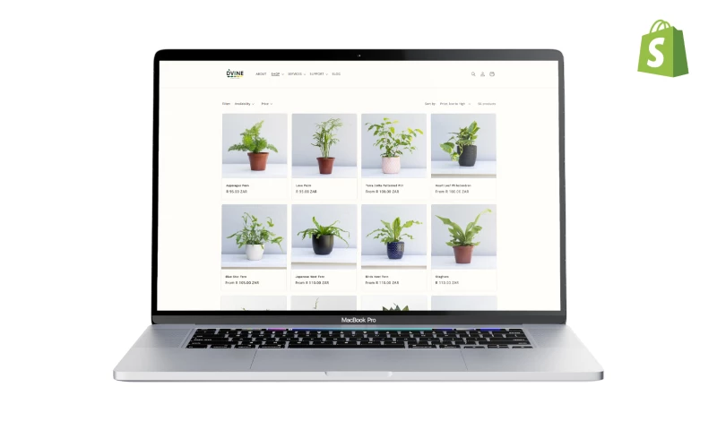 Frostbolt Digital Media - D'Vine - Shopify Store