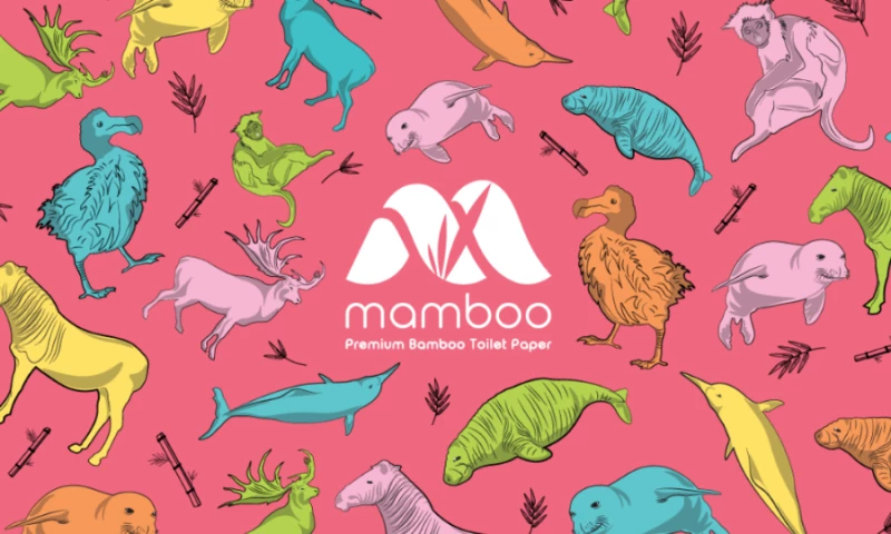 Digital Creators Studio - Bamboo Fun