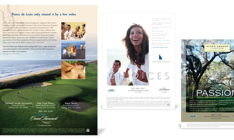 Centex Real Estate Communication Program