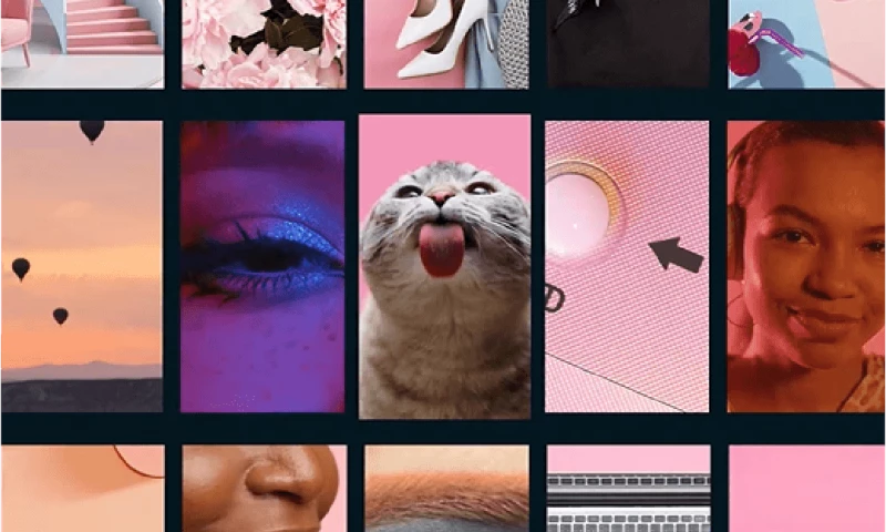 Bespoke Animation - Social networks content | Instagram Reels | YouTube Shorts | LinkedIn | TikTok