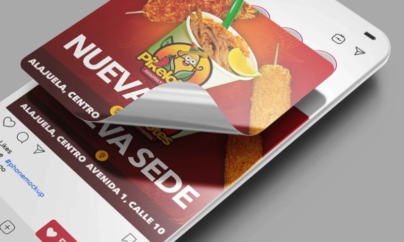 Pikelotes Complete Brand Identity & Social Media Design