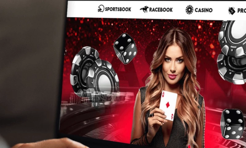 BetNow666 Sports Betting Website Design & Development