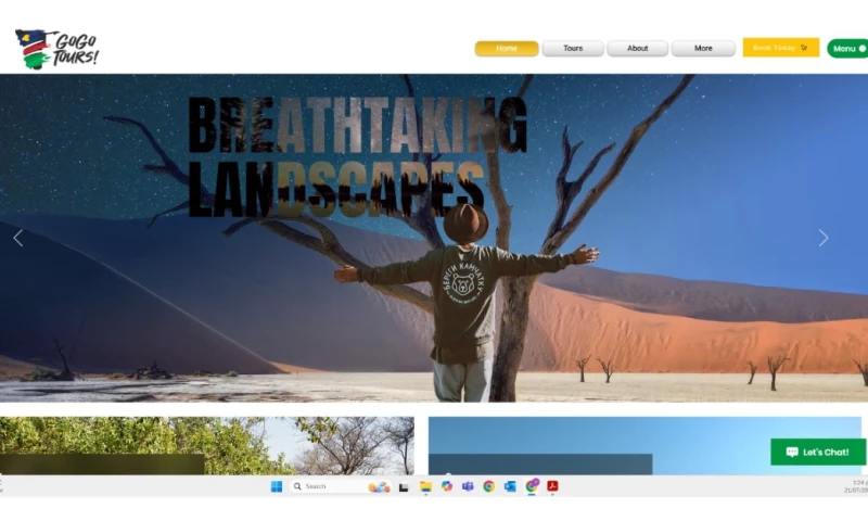 Web Designers Namibia - GoGo Tours Website