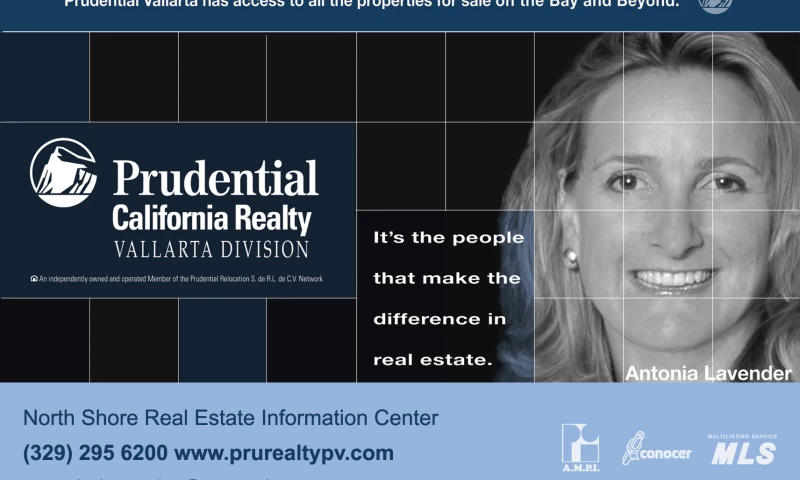 Architecture and Real Estate Advertising Postcards