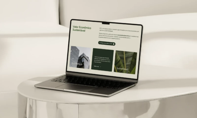 Schiefler Studio - VES Brasil