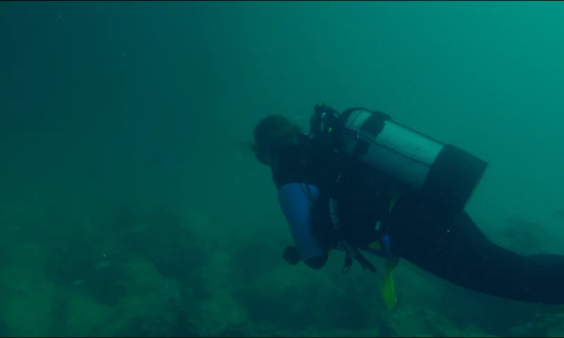 Humans of Dubai Holding