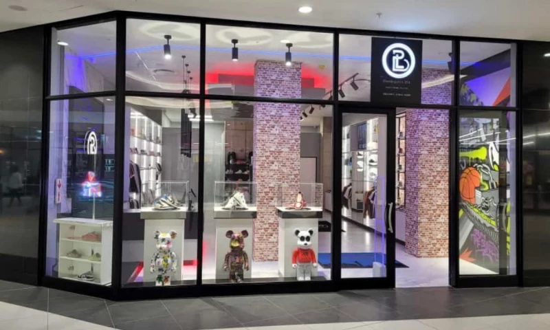 Web Development and Design