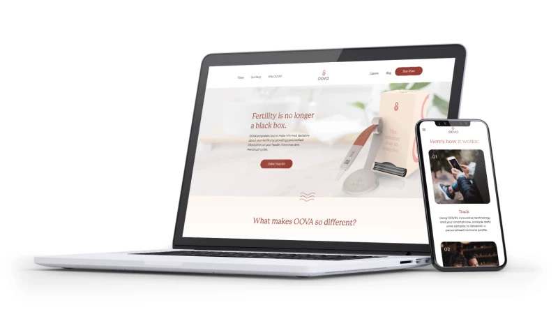 ambiscale - Creating an ecommerce shop on Shopify for a brand of hygienic products