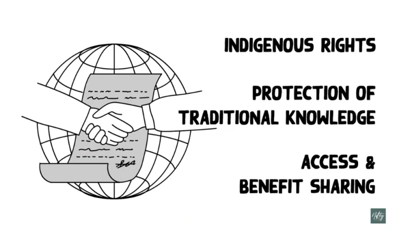 The Devils Claw Harvesters of Namibia