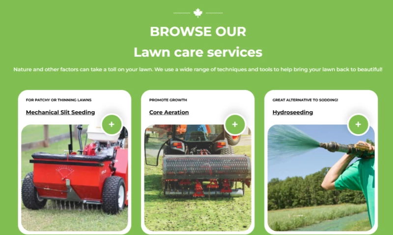 Social Media Marketing & Website