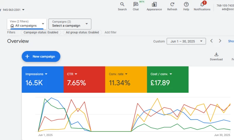 BrandingBeez - Google Ad Conversion - The Dog Guy