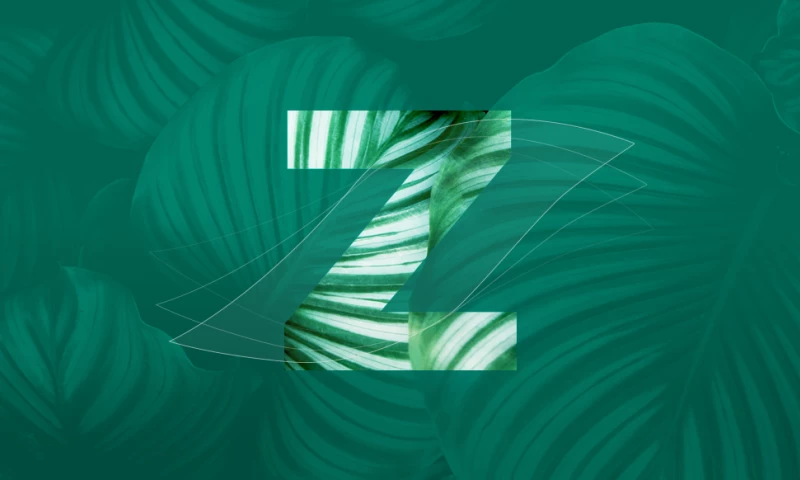 A corporate website for a dental clinic Zahnärzte am Phönixsee