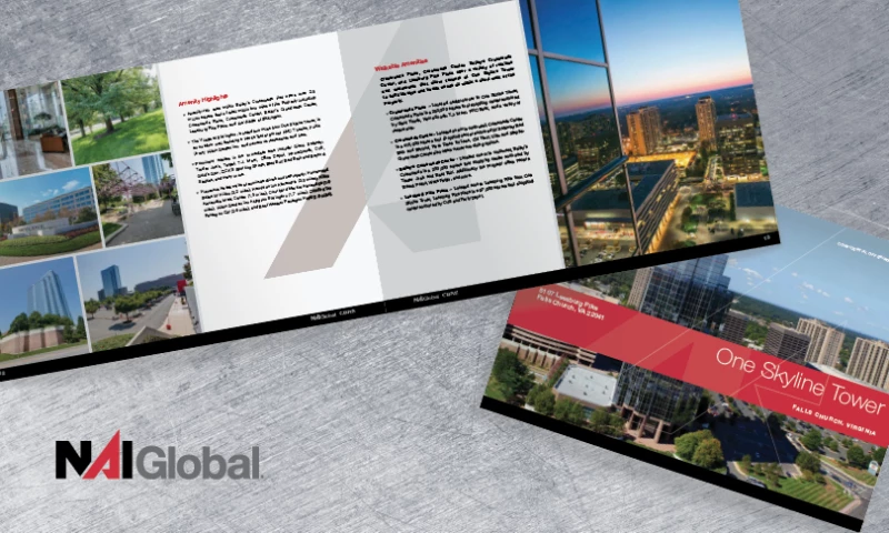 NAI Global Offering Mamorandum