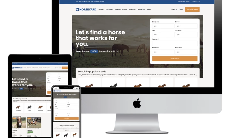 Australias Leading Online Horse Marketplace