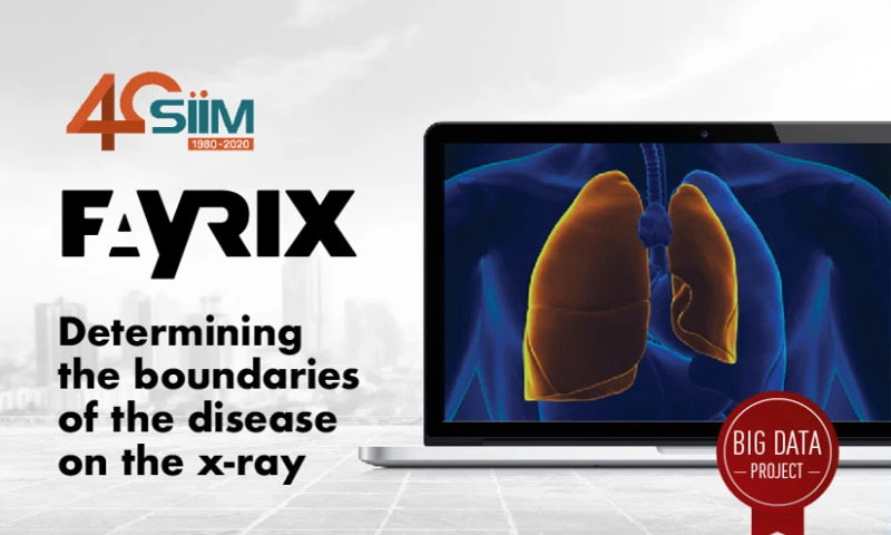 Fayrix Software - Determining the boundaries of the disease on the X-ray