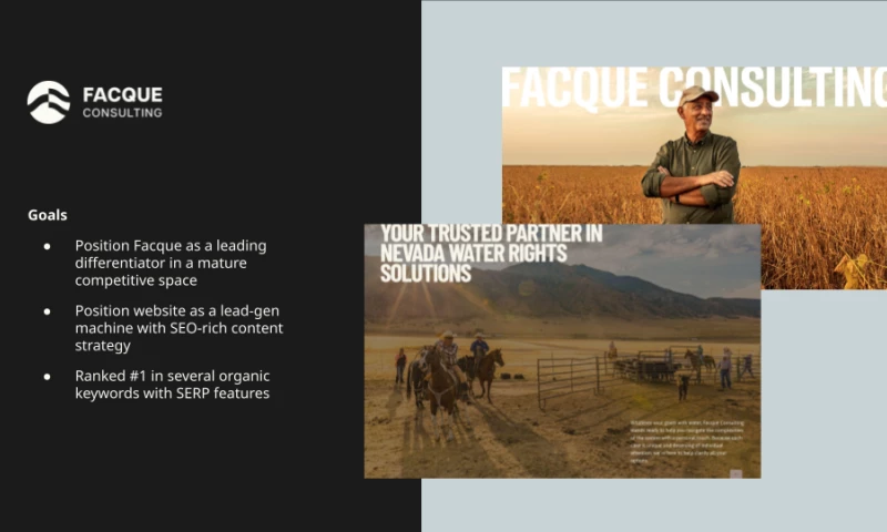 Facque Consulting Brand + Website