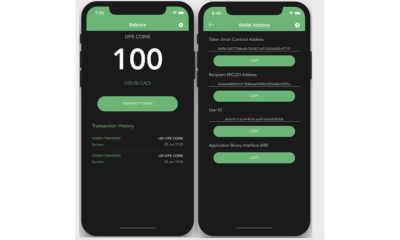 datarockets - Metalyfe - blockchain-based platform in the gaming industry