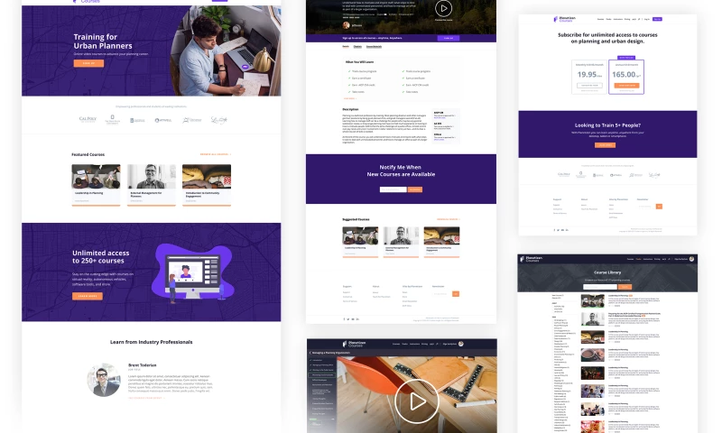 Urban Insight - Planetizen Courses