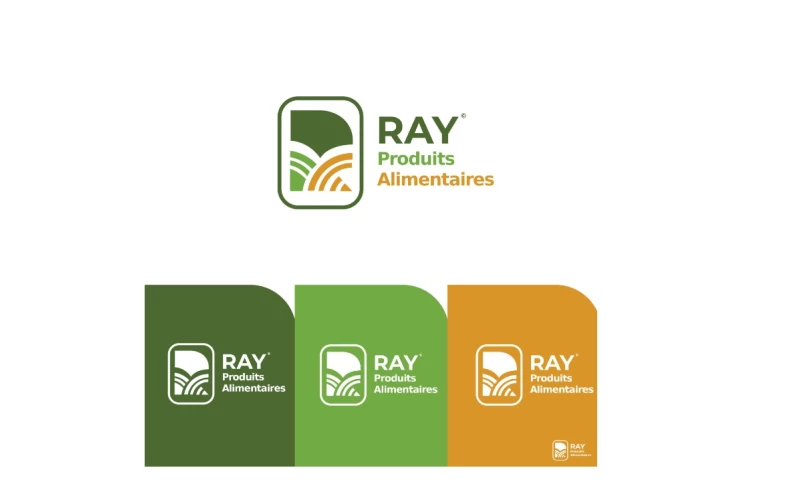 Skyweb3 Agency - Brand Identity & Branding Creation for RAY