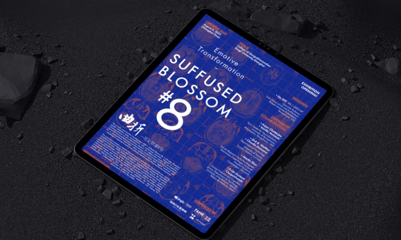 VSDesign - Creating a lasting digital presence for a neuroaesthetics conference