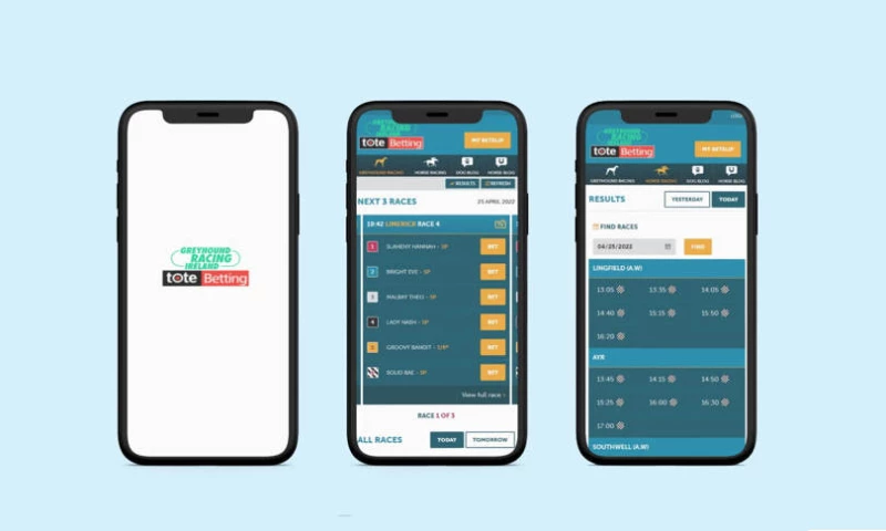Bellosoft Limited - Barking Buzz