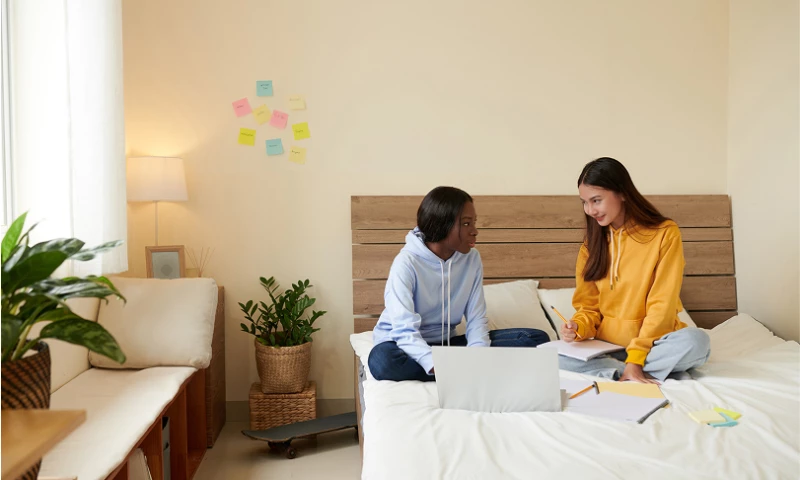 Noseberry Digitals - The Start of Fllat.com Developing the Platform Shaping the Future of Coliving