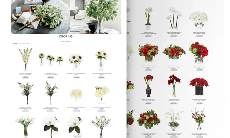 NDI WooCommerce store