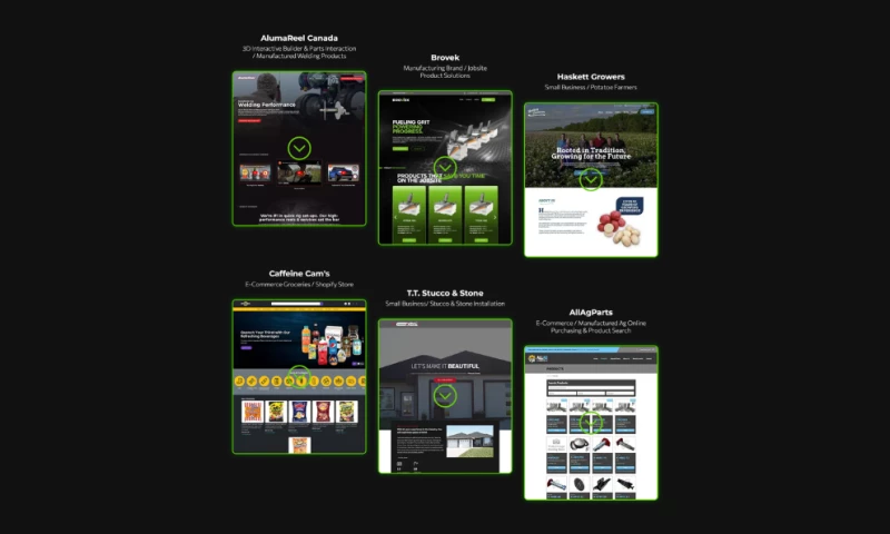 Profuzion Studio - ELEVATE