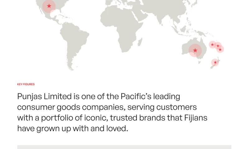 Web Design For Punjas