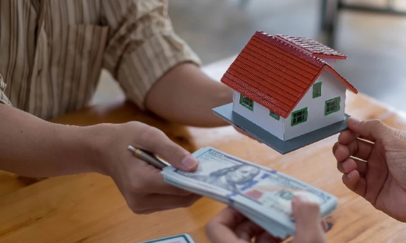 Zluck Solutions - Local Investor