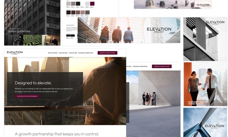 Branding, Website, and Launch Campaign