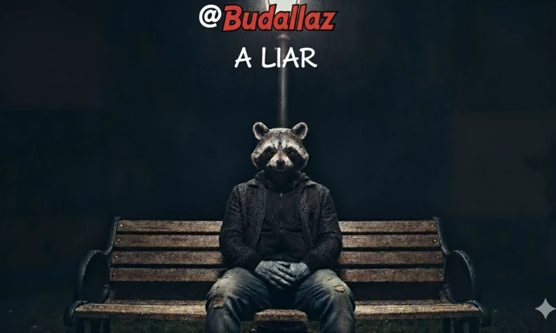 2Immersive4U - The Budallaz - A Liar (Lyric Video)
