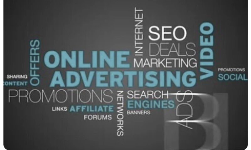 Hire Live Support Inc - Organic Growth & SEO Optimization for Wakey Agency