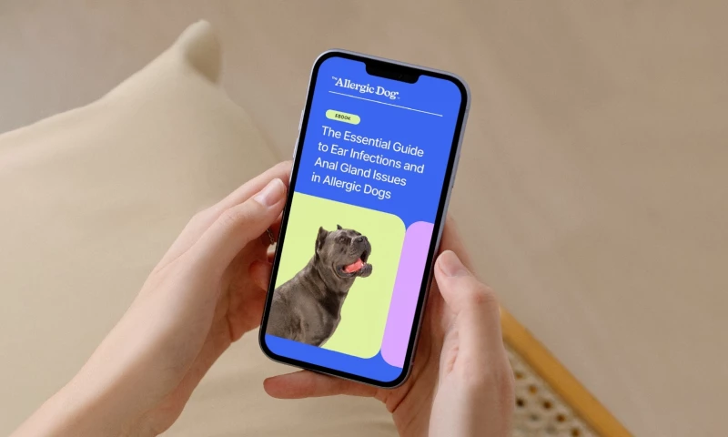 Regent Park Studio - The Allergic Dog | Branding + Kajabi Web Design