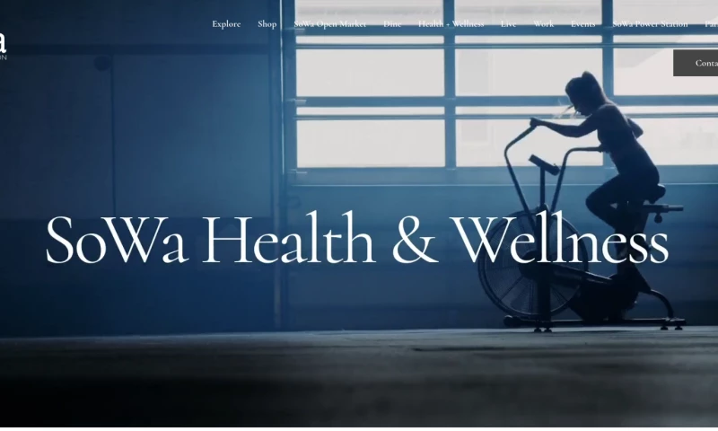 LAIDLAW GROUP - Health And Wellness Website